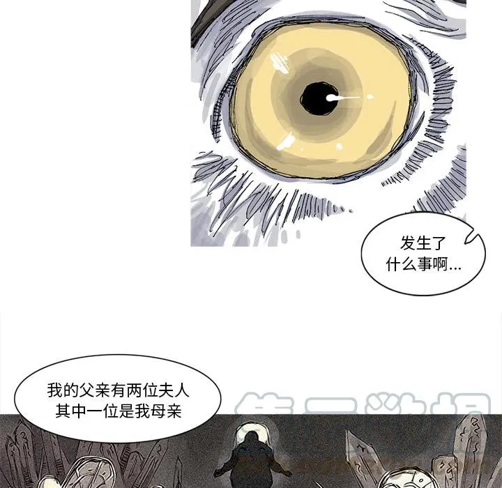 29 第43页
