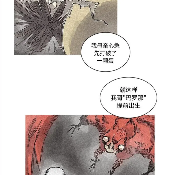29 第45页