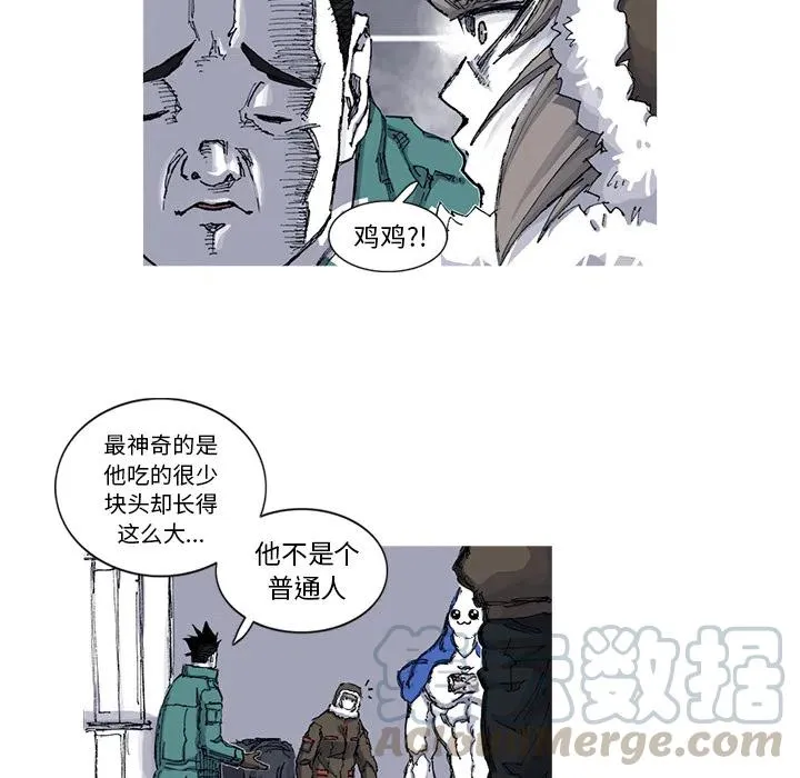 48 第61页