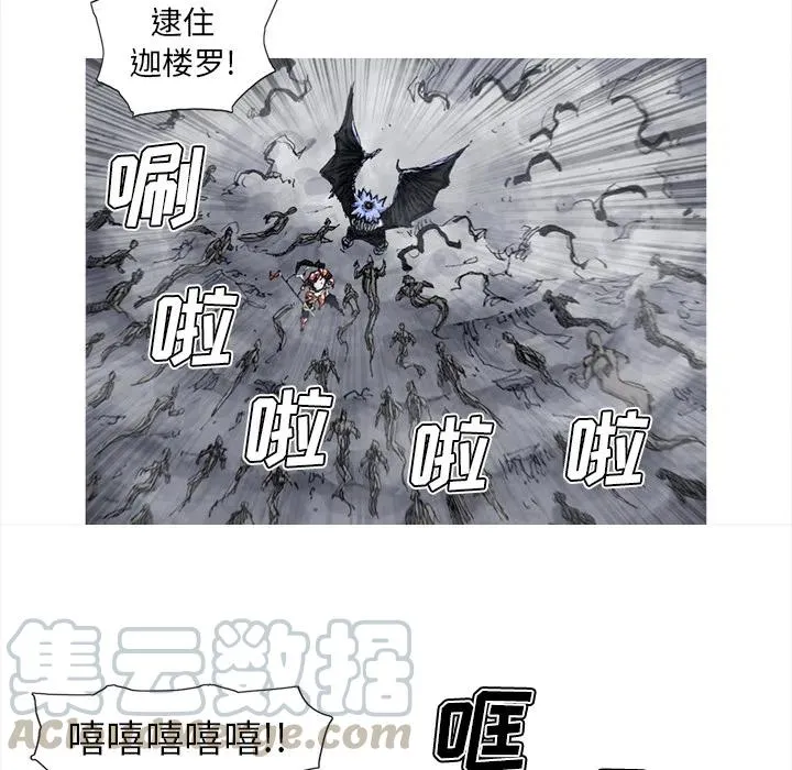 50 第55页