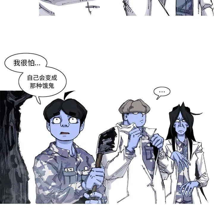 53 第41页