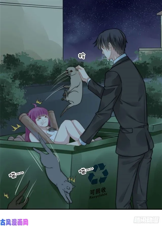 第114话 最会享受的猫 第18页