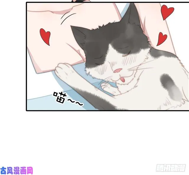 第114话 最会享受的猫 第22页