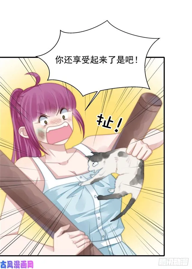 第114话 最会享受的猫 第23页