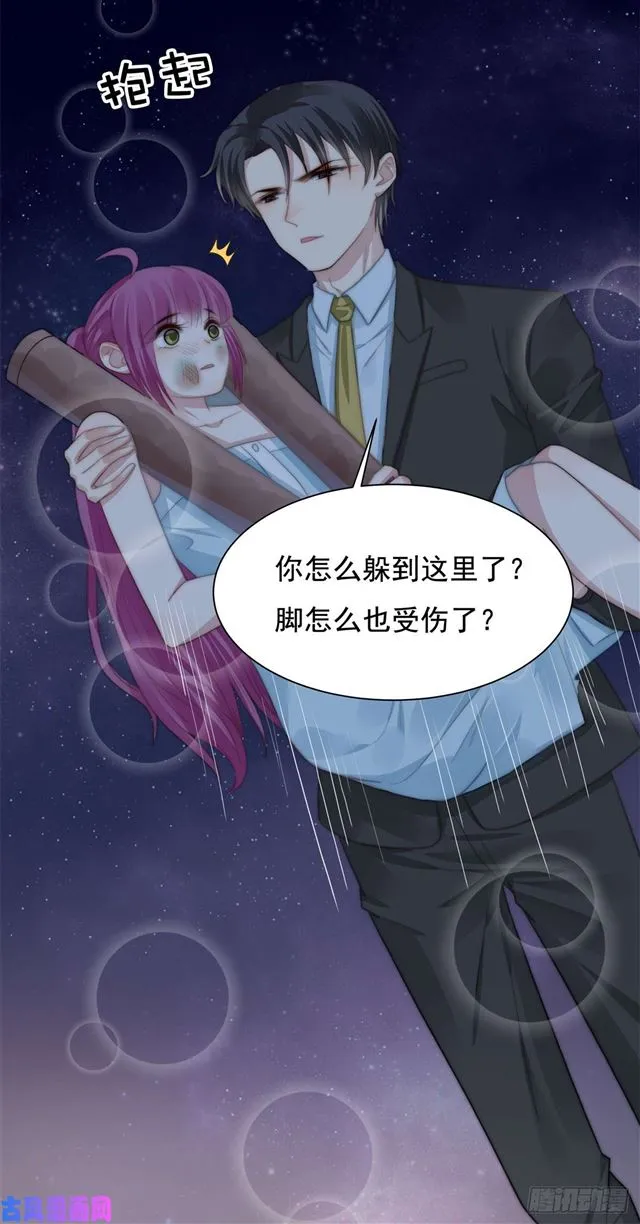 第114话 最会享受的猫 第26页