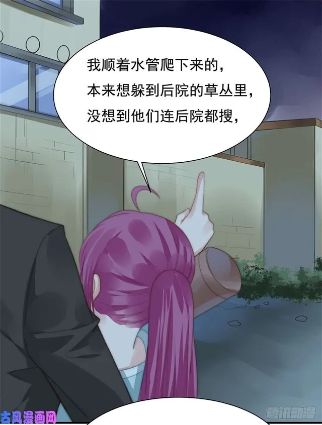 第114话 最会享受的猫 第27页