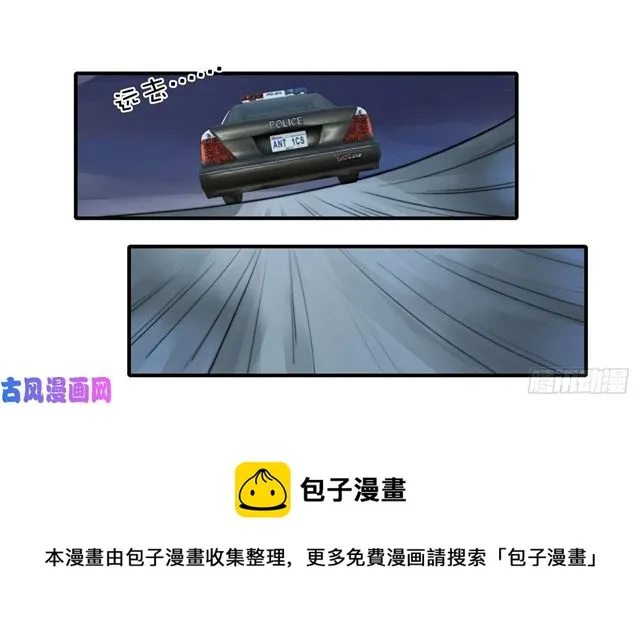 第114话最会享受的猫 第11页