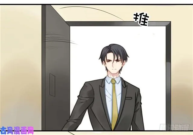 第114话最会享受的猫 第12页