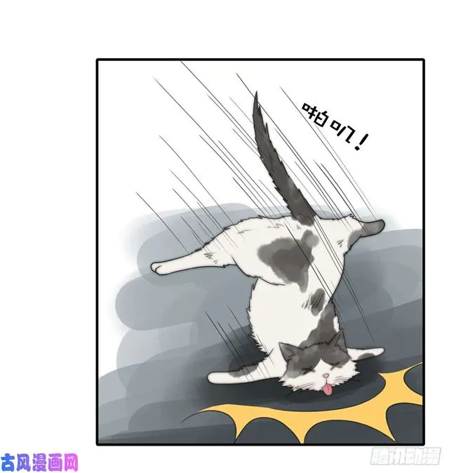 第114话最会享受的猫 第27页
