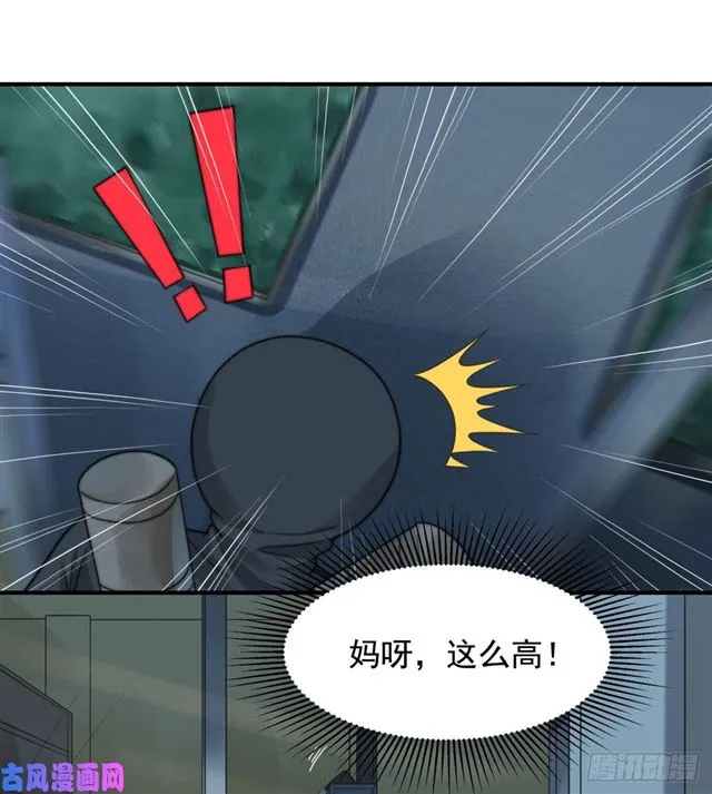 第113话真假美人图 第12页