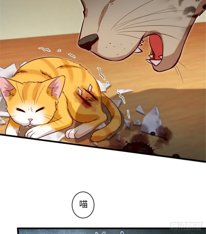 第186话 第40页