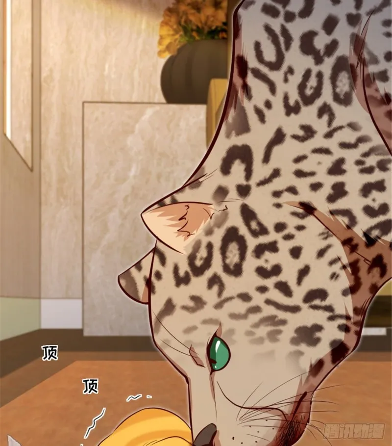 第186话 第43页
