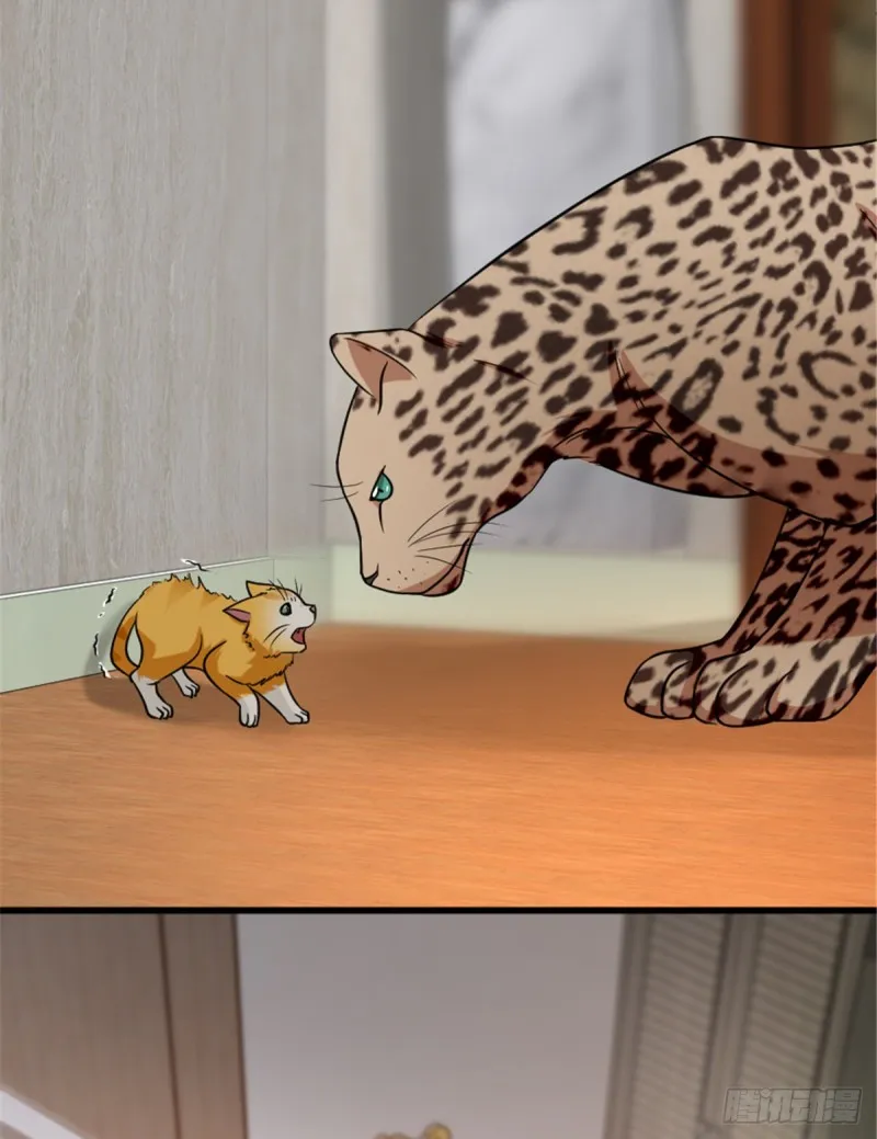第185话 第28页