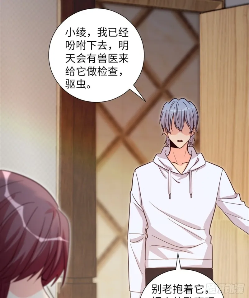 第185话 第36页