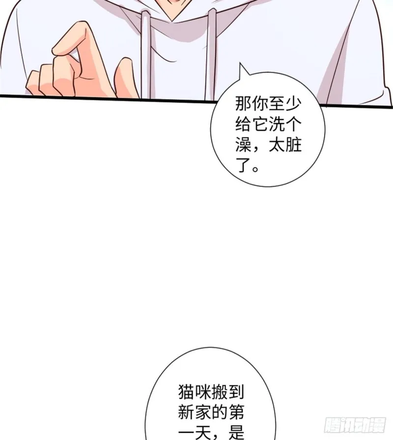 第185话 第47页