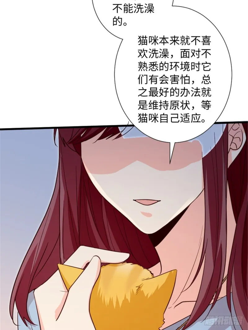 第185话 第48页
