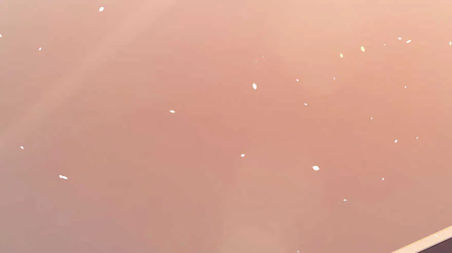 第105话 第3页