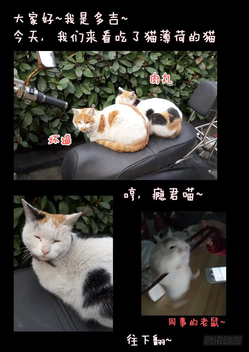 第四话 第15页