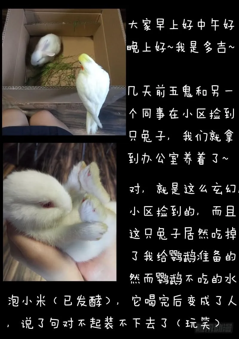 第十八话 第19页