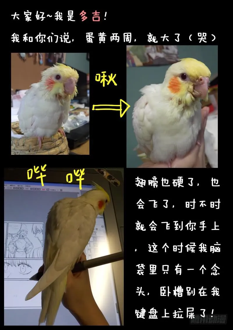 第十九话 第14页