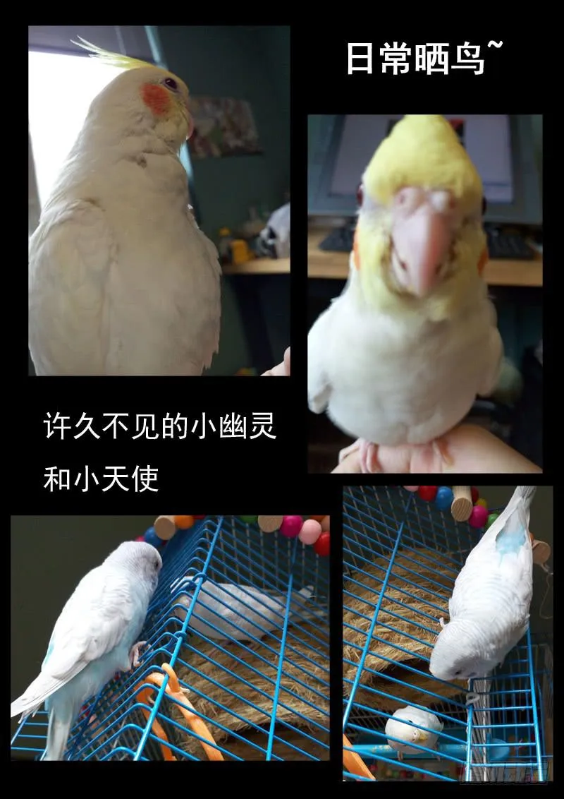 第二十四话 第16页