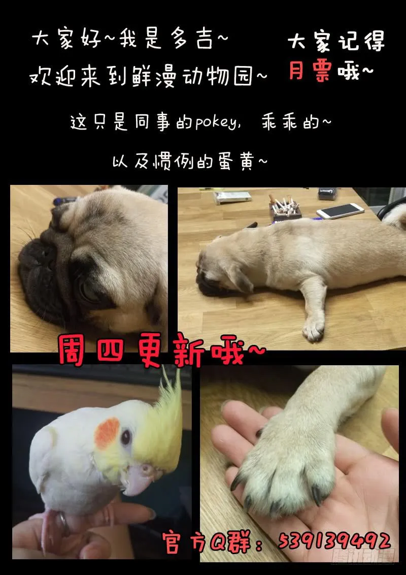 第二十六话 第17页