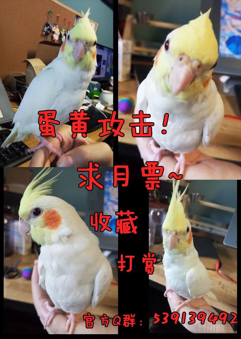第二十七话 第15页