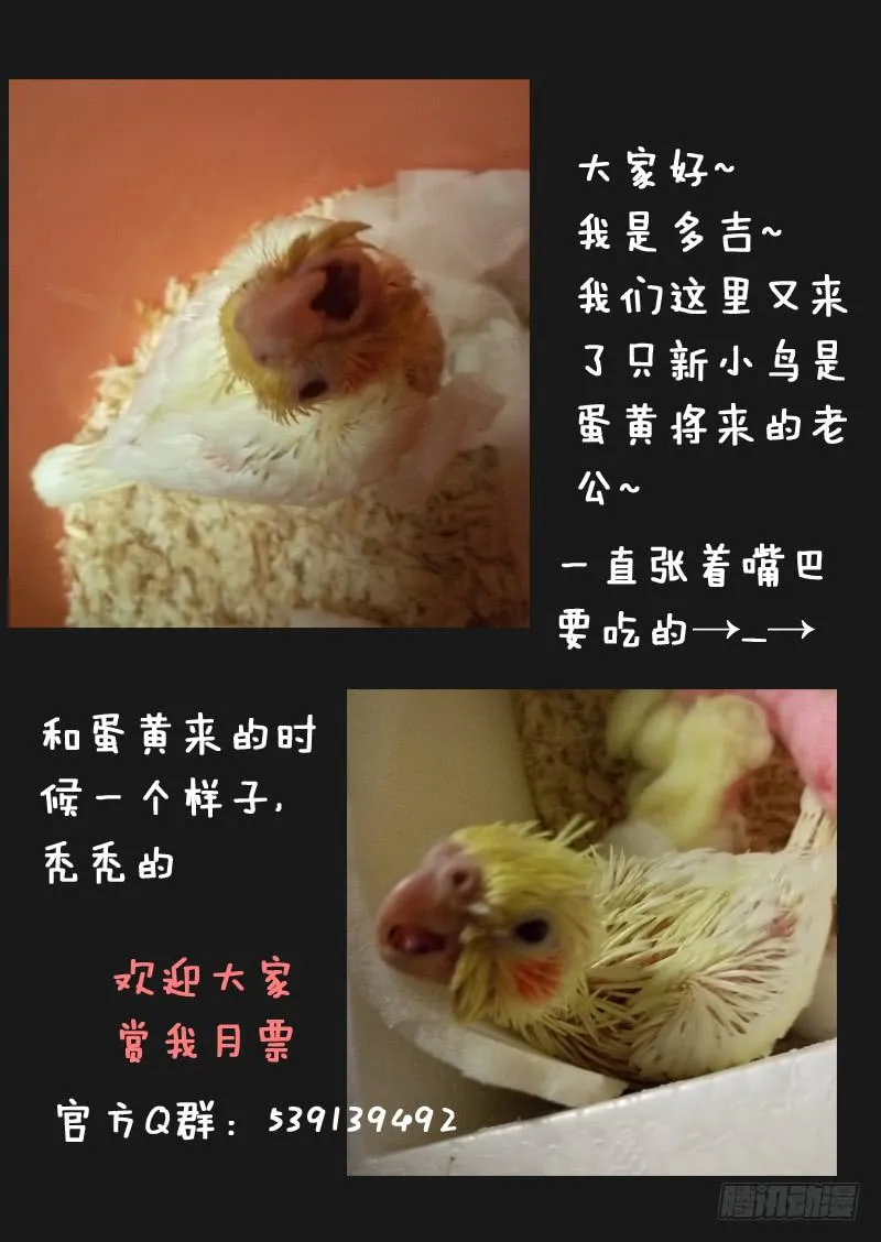 第四十二话 第11页