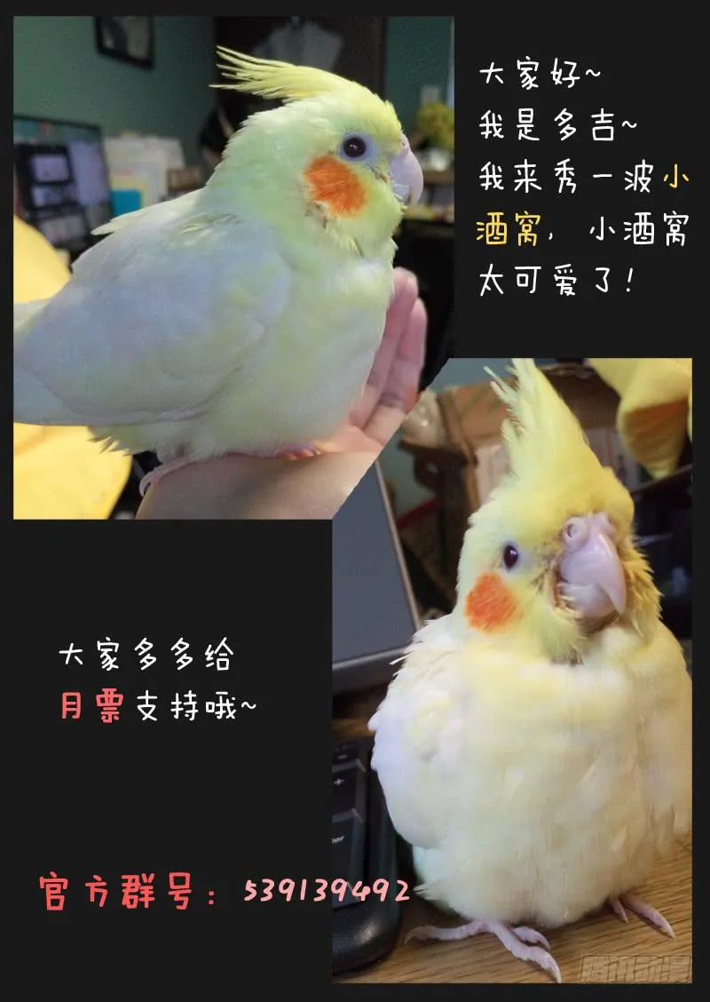 第四十五话 第11页