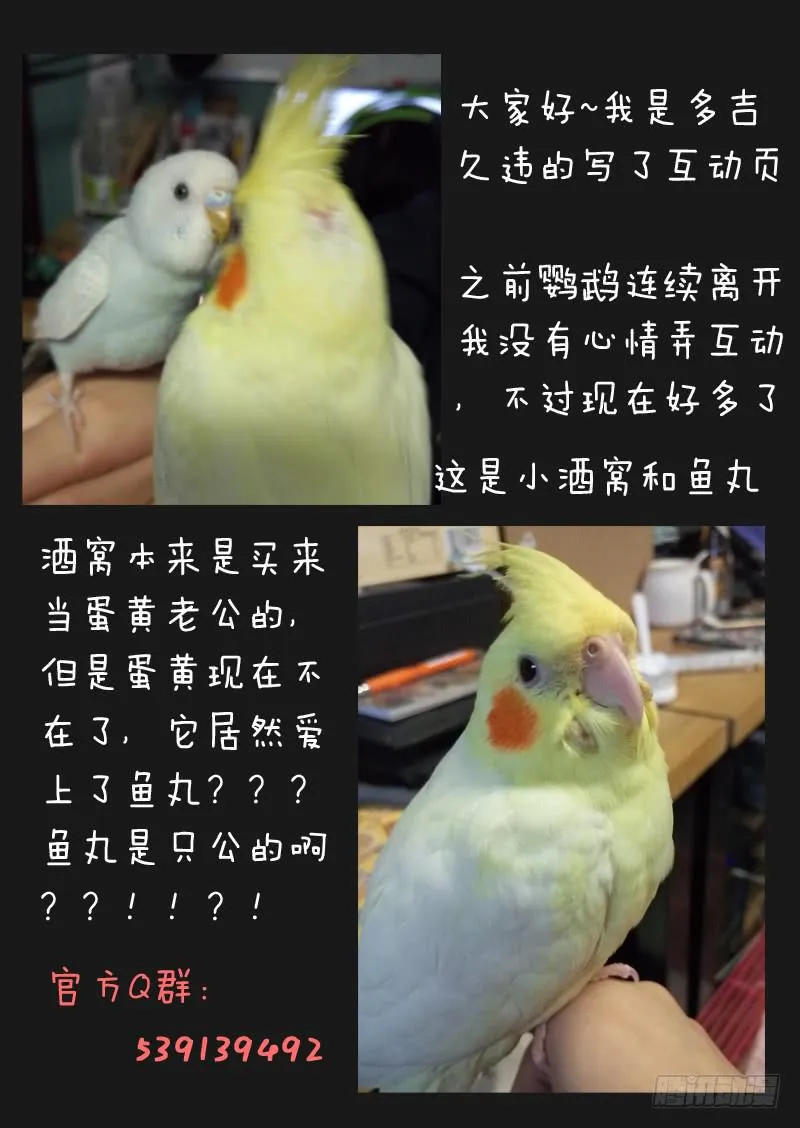 第五十一话 第11页
