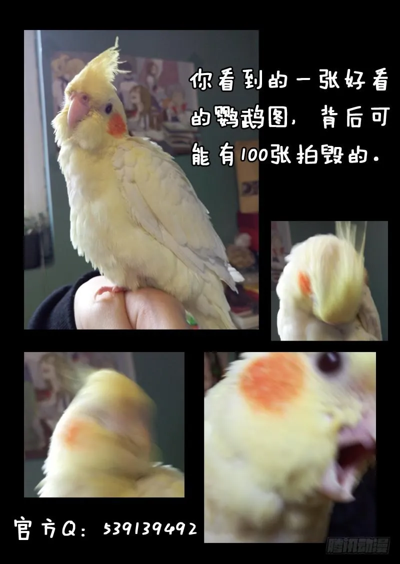 第五十五话 第10页