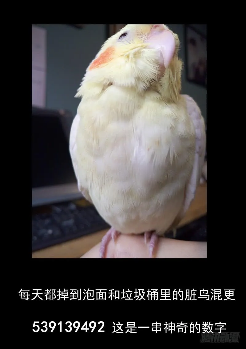 第五十六话 第12页