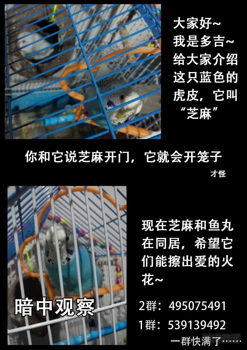 第六十一话 第12页