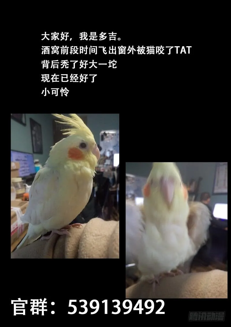 第六十七话 第13页