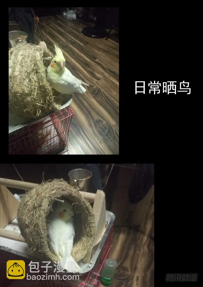 第七十四话 第10页