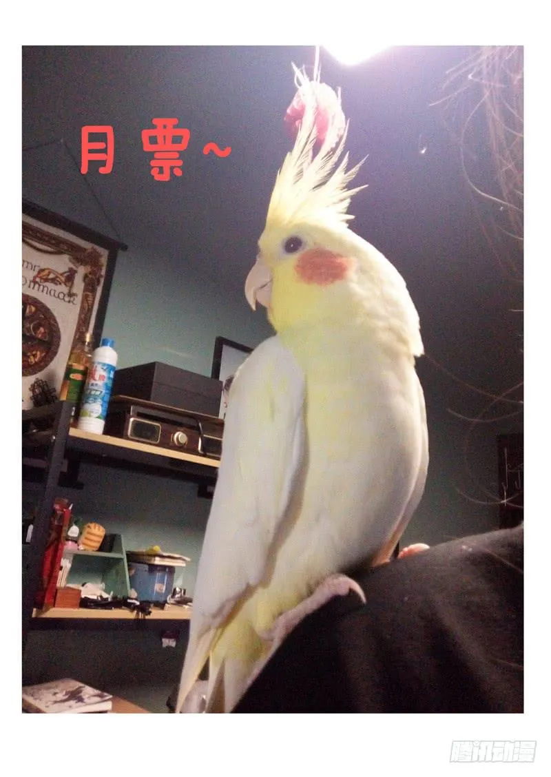 第八十六话 第10页