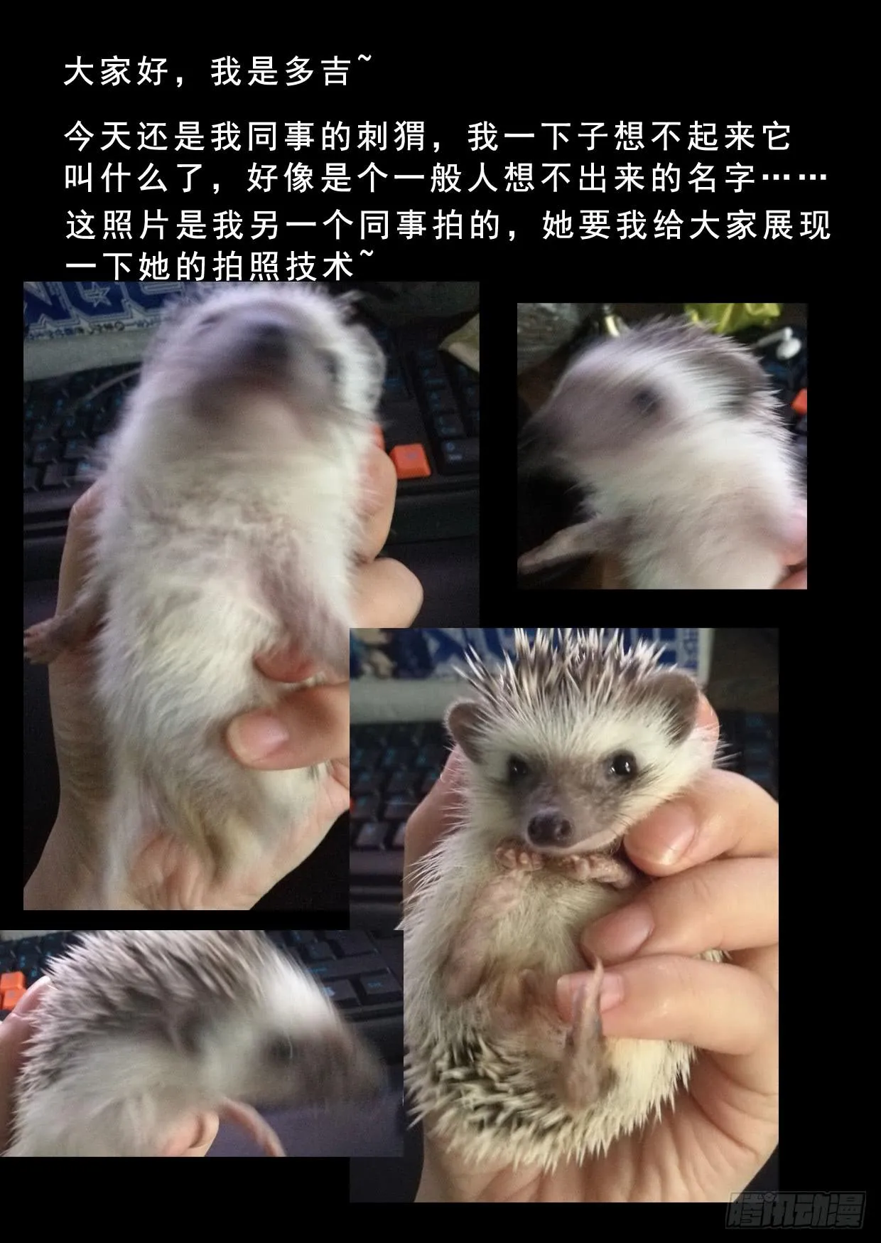 第九十话 第10页