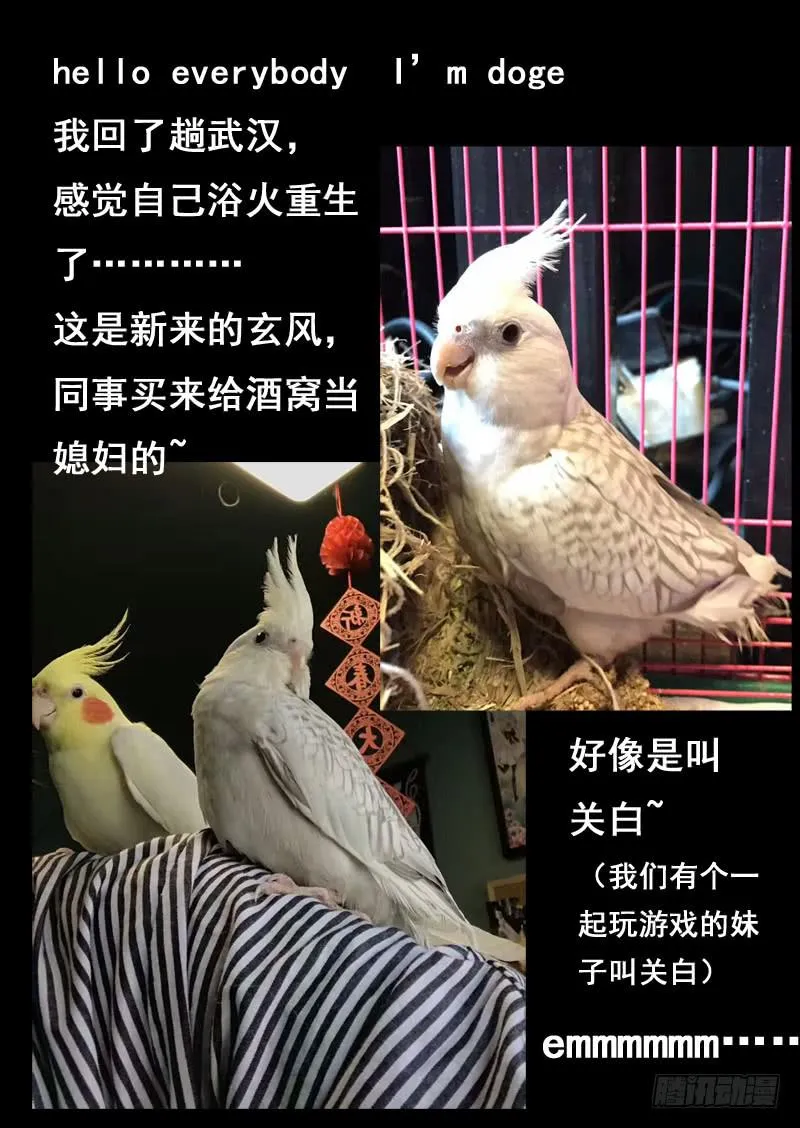 第九十四话 第10页