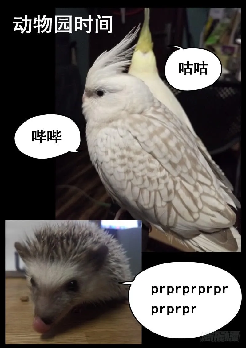 第九十七话 第10页