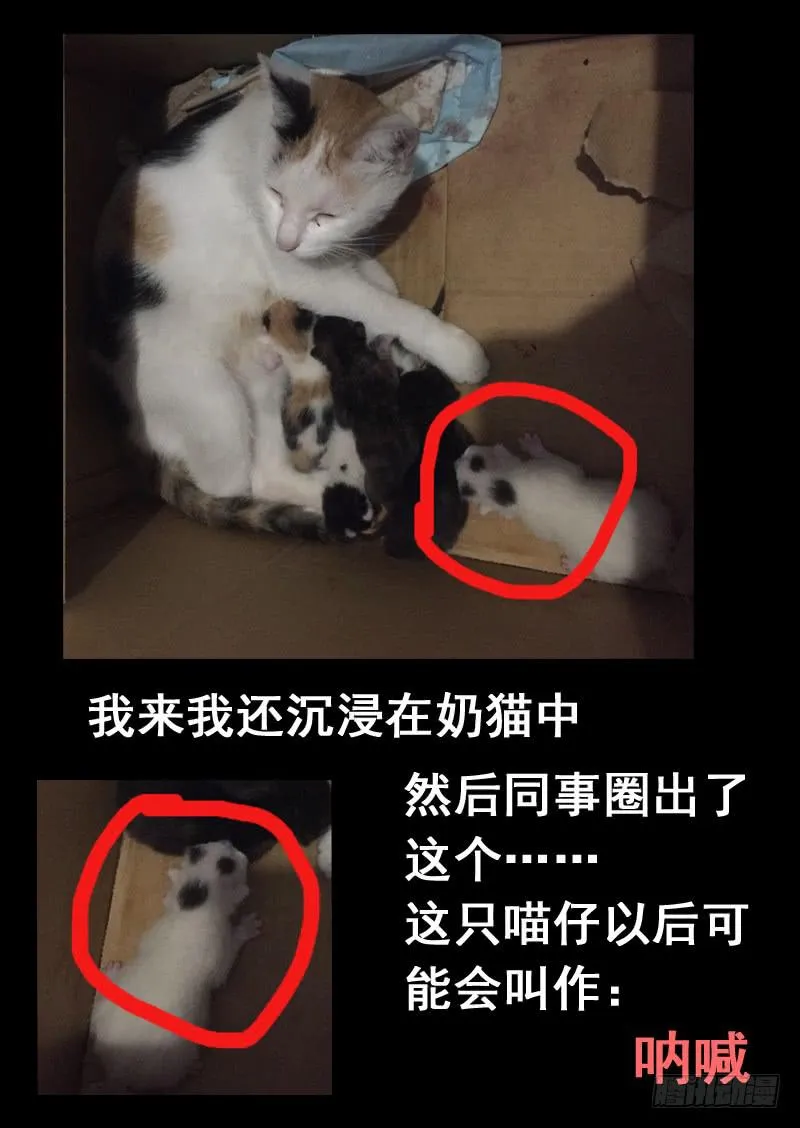 第一零五话 第10页