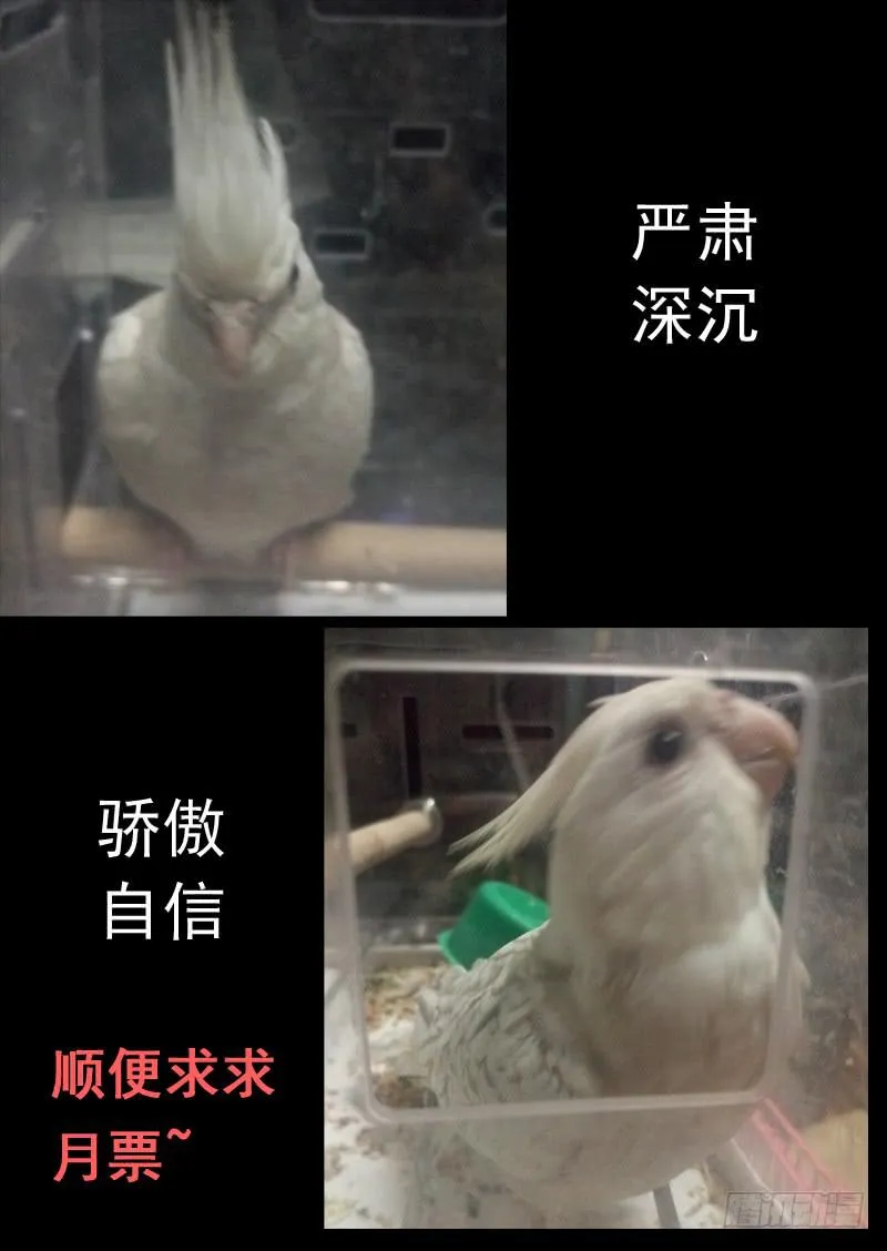 第一零七话 第11页