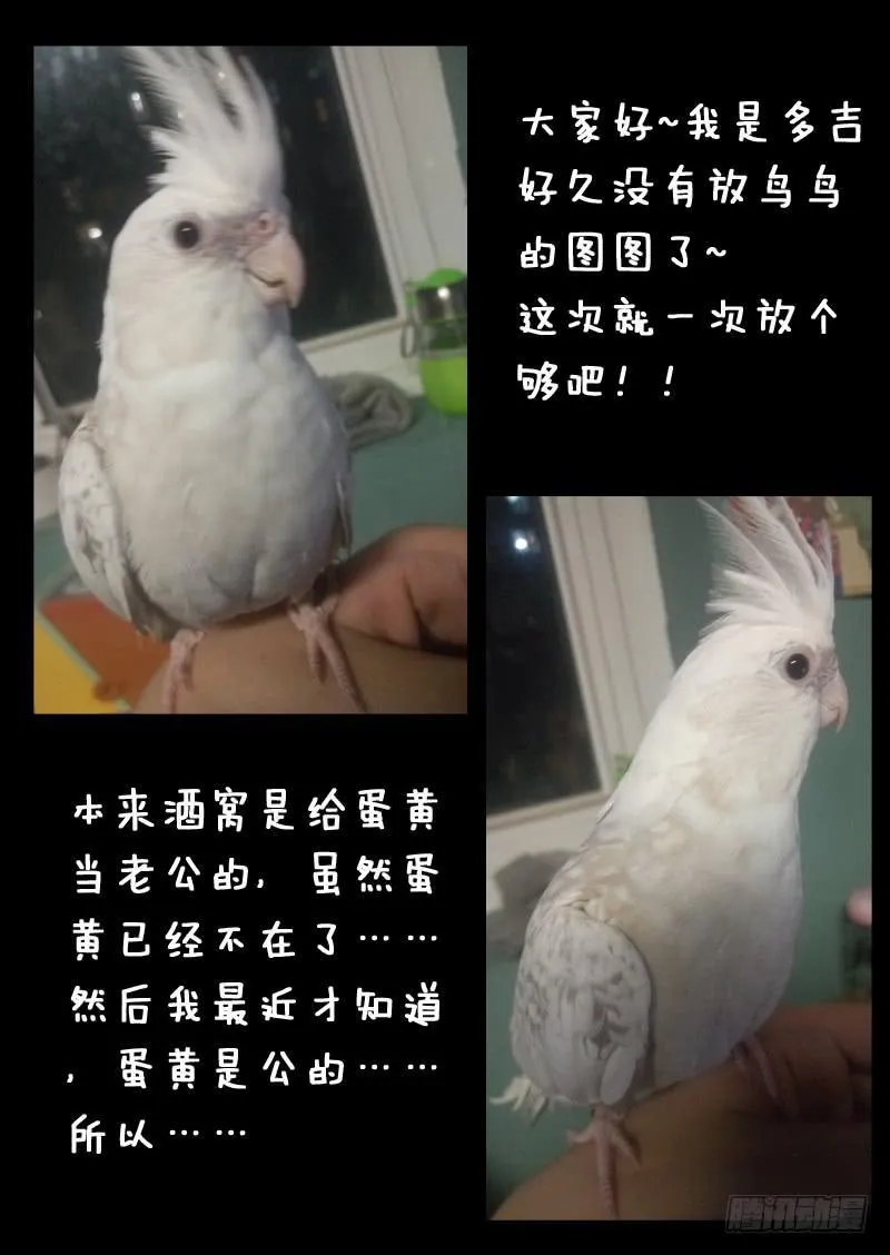 第一一三话 第10页