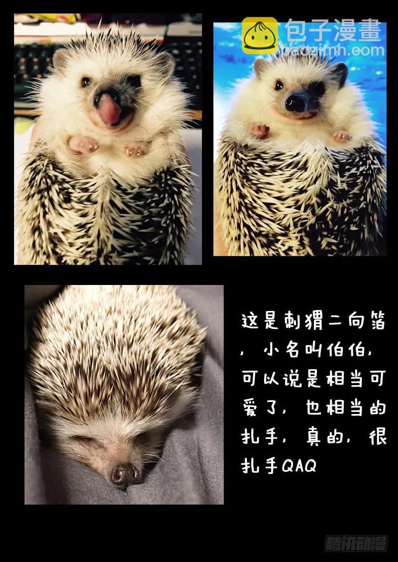 第一一三话 第11页