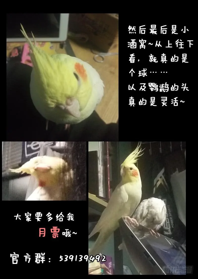 第一一三话 第12页