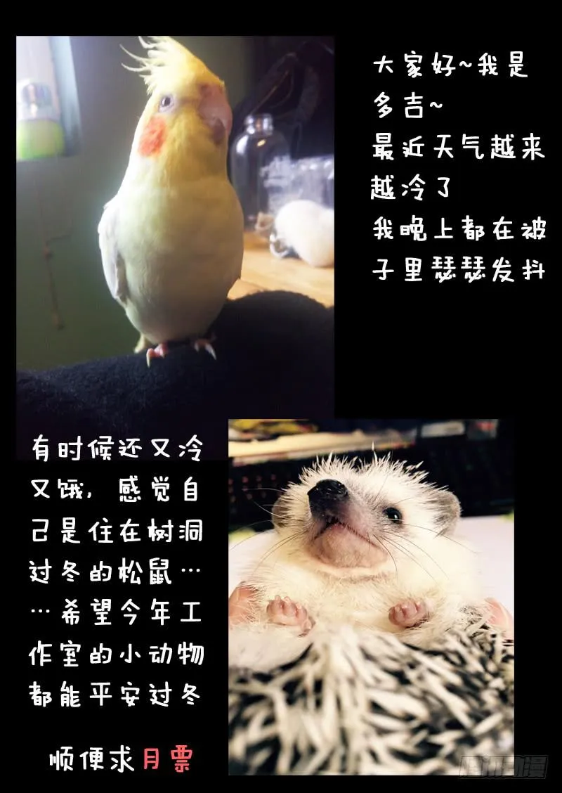 第一一六话 第11页