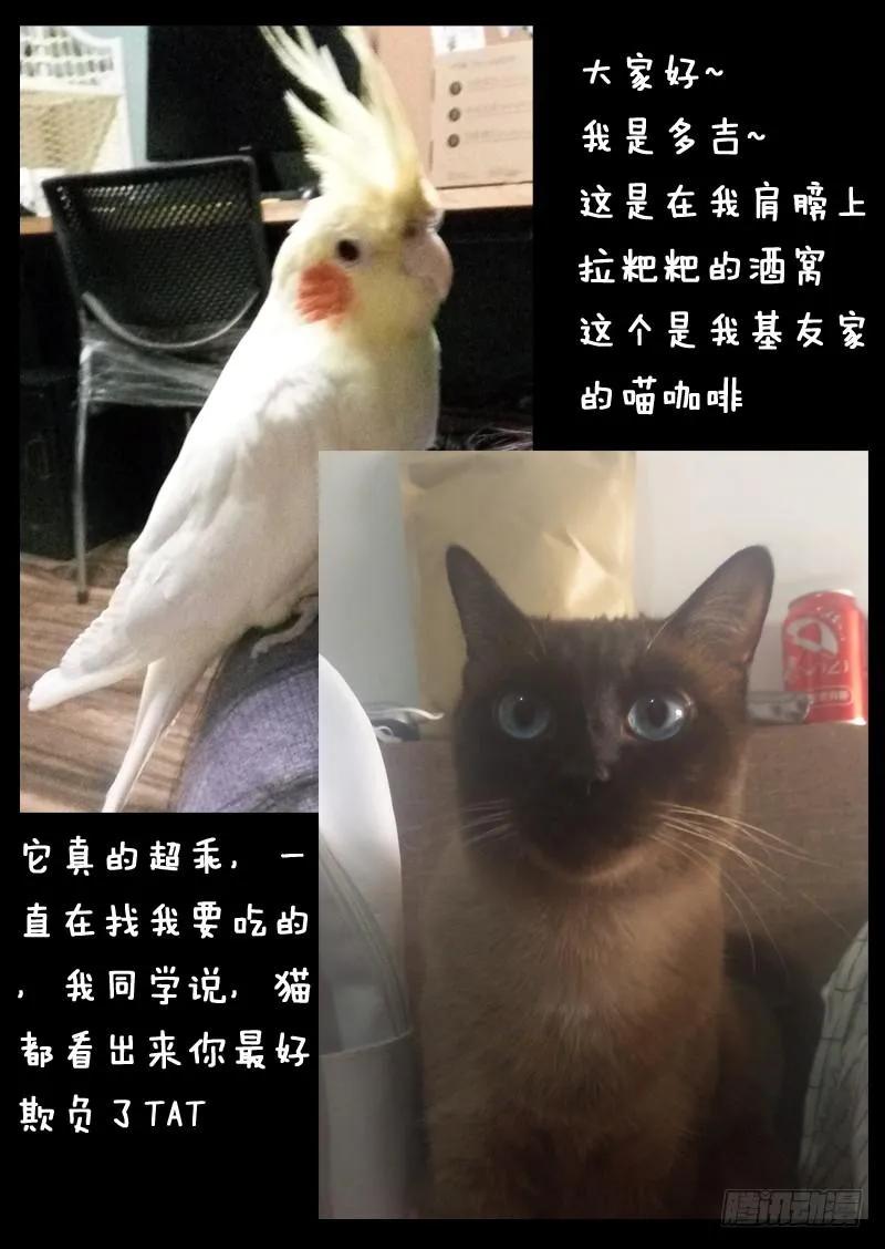 第一一七话 第11页
