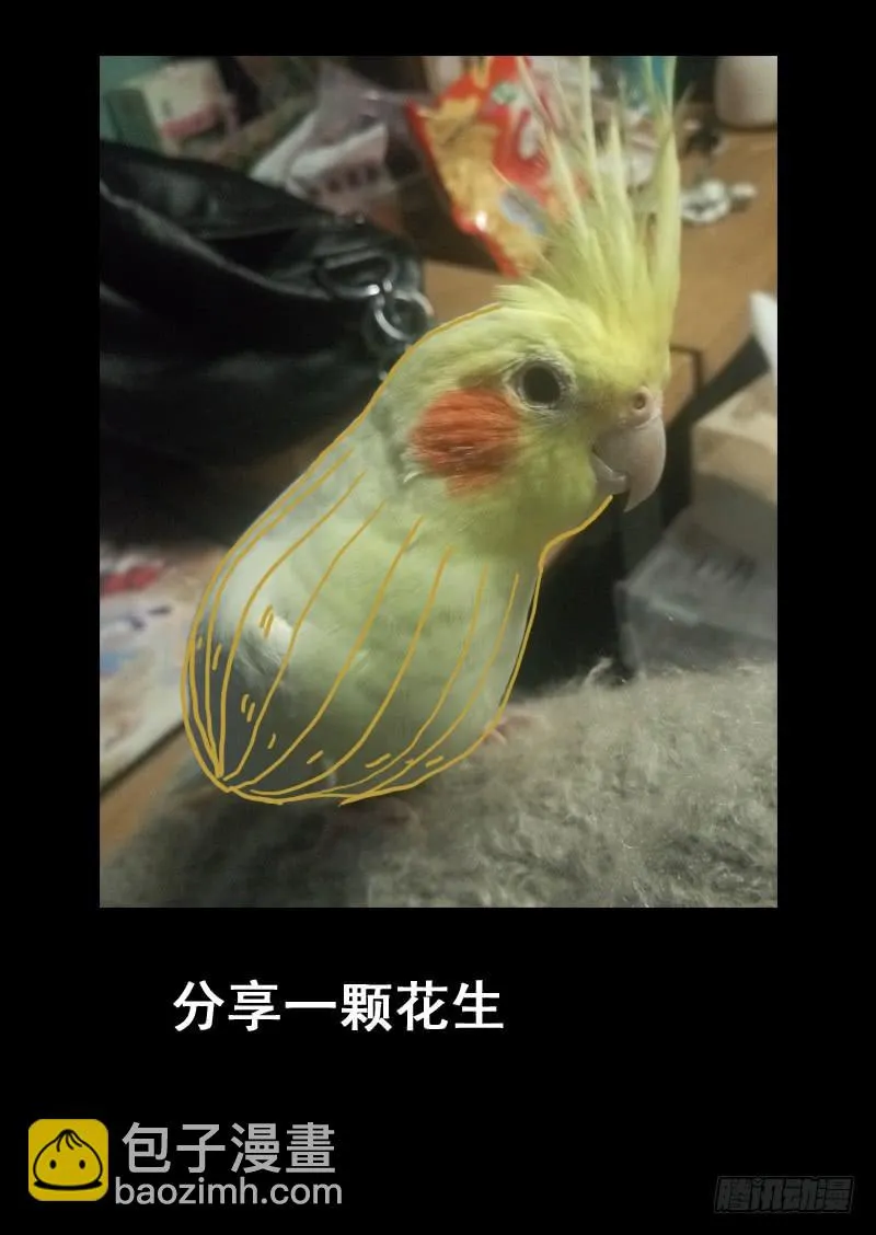 第一二四话 第11页