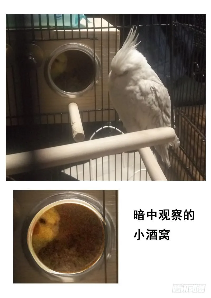 第一三六话 第16页
