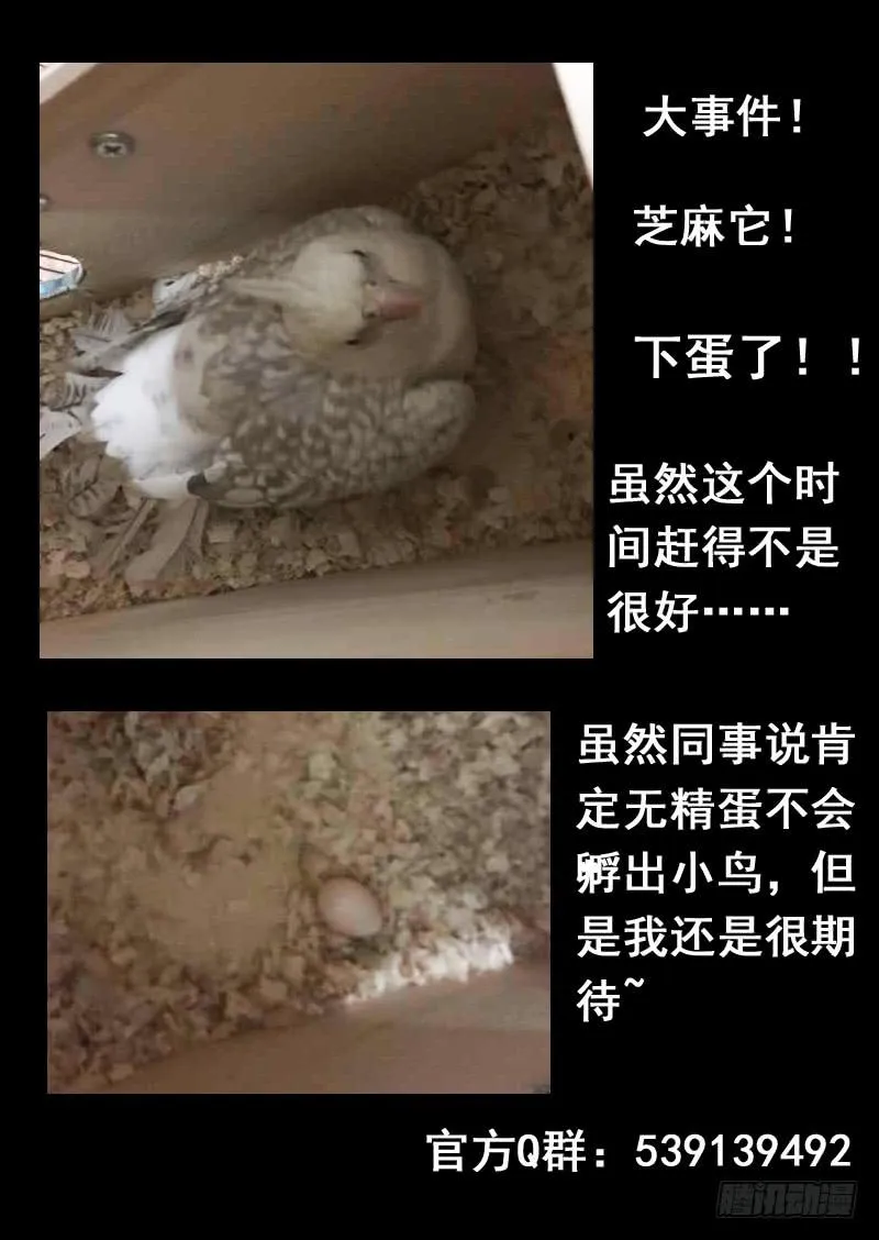 第一三七话 第14页