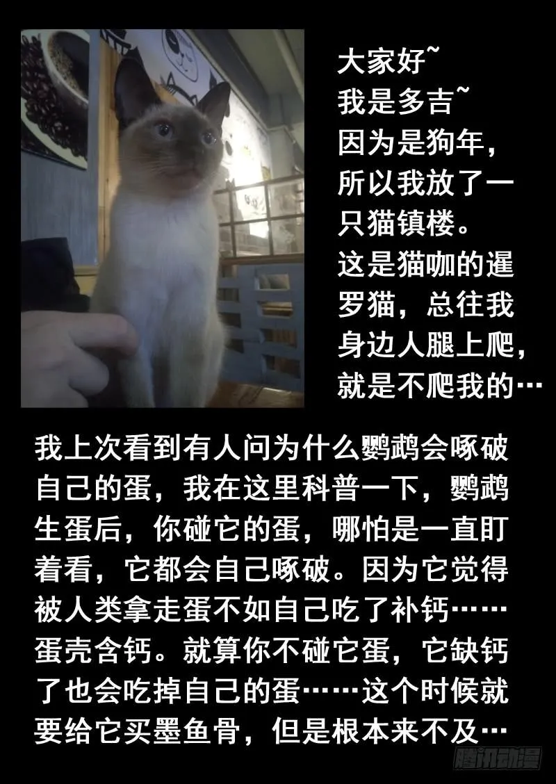第一三九话 第11页